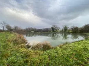 Terrains de loisirs bois etangs a vendre Tinténiac 35190 Ille-et-Vilaine 35 54000 euros 105/1895 001