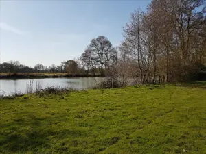 Terrains de loisirs bois etangs a vendre La Flèche 72200 Sarthe 72 18000 euros 1173 001