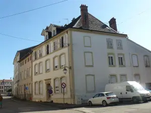 Maison a vendre Rambervillers 88700 Vosges 88 350 m2 15 pièces 90000 euros 2261 001