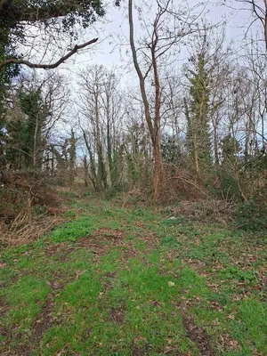 Terrains de loisirs bois etangs a vendre Clohars-Carnoët 29360 Finistère 29 26800 euros 29114-125 001