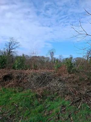 Terrains de loisirs bois etangs a vendre Clohars-Carnoët 29360 Finistère 29 52950 euros 29114-126 001