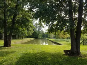 Terrains de loisirs bois etangs a vendre Argenvilliers 28480 Eure-et-Loir 28 59000 euros 11247/273 001