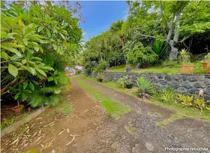 Maison a vendre Saint-Paul 97460 La Réunion 974 95 m2 4 pièces 472500 euros 97424/251 001
