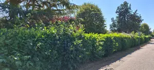 Terrain a batir a vendre Guichainville 27930 Eure 27 102900 euros tabdem02 001