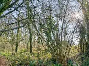 Terrains de loisirs bois etangs a vendre Hédé-Bazouges 35630 Ille-et-Vilaine 35 8500 euros 020/640 001