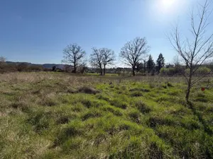 Terrain a batir a vendre Lacapelle-Marival 46120 Lot 46 2904 m2 47200 euros 46030/TEBA/569 001
