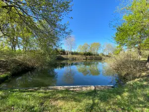Terrains de loisirs bois etangs a vendre Saint-Genou 36500 Indre 36 22200 euros 1052374 001