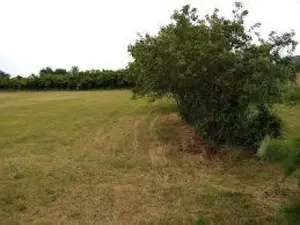 Terrain a batir a vendre Boissy-Lamberville 27300 Eure 27 35000 euros 052/336 001