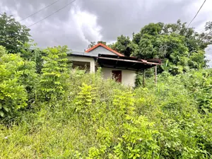 Terrain a batir a vendre Saint-Benoît 97470 La Réunion 974 99000 euros 97424/268 001