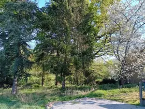 Terrain a batir a vendre Cournon 56200 Morbihan 56 688 m2 20000 euros 009/1355 001