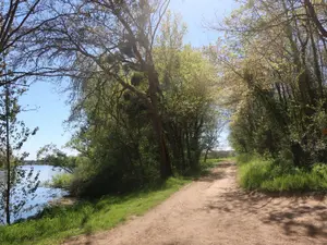 Terrains de loisirs bois etangs a vendre Vouneuil-sur-Vienne 86210 Vienne 86 9000 euros 86024-TEBE2453 001