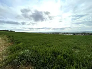 Terrain a batir a vendre Saint-Vit 25410 Doubs 25 91000 euros 25006-117-2025 001