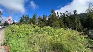 Terrain a batir a vendre La Plaine-des-Palmistes 97431 La Réunion 974 1368 m2 190000 euros 97404/25 001