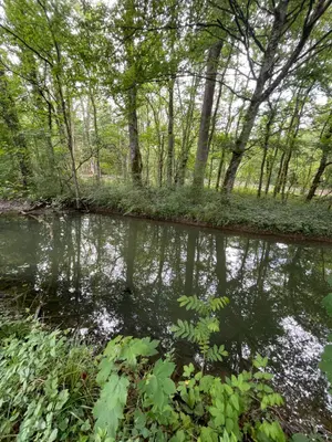 Terrains de loisirs bois etangs a vendre Villedieu 21330 Côte-d'Or 21 13600 euros 1758 001