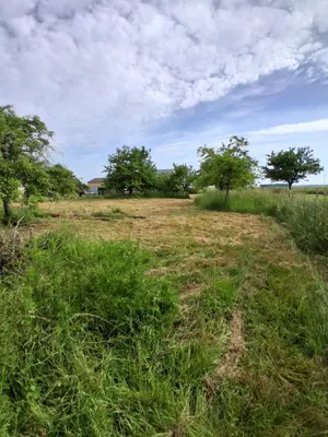 Terrain a batir a vendre Roman 27240 Eure 27 32000 euros 11162/75 001