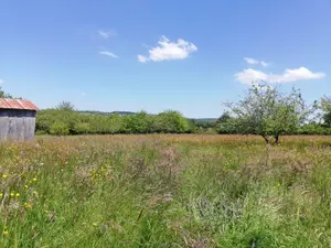 Terrains de loisirs bois etangs a vendre Villaines-la-Juhel 53700 Mayenne 53 31800 euros 1395 001