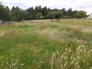Terrain a batir a vendre Écommoy 72220 Sarthe 72 803 m2 54000 euros 023/2132 001