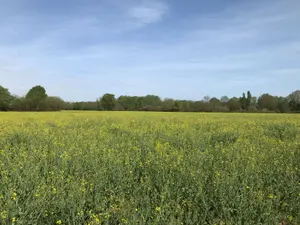 Bien agricole a vendre Torcé-en-Vallée 72110 Sarthe 72 39960 euros 079/2026 001