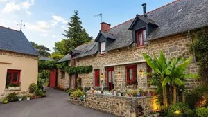 Viager maison Combourg 35270 Ille-et-Vilaine 35 237 m2 7 pièces 250000 euros 091-879 001
