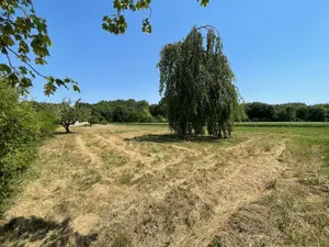 Terrain a batir a vendre Alincourt 08310 Ardennes 08 39900 euros 08018-TEBA-2257 001