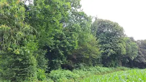 Terrains de loisirs bois etangs a vendre Plougonven 29640 Finistère 29 48600 euros TEBE0502 001