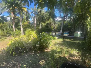 Terrain a batir a vendre Saint-Benoît 97437 La Réunion 974 193000 euros 97404/31 001