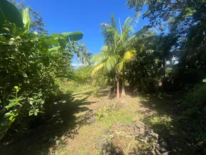 Terrain a batir a vendre Saint-Benoît 97437 La Réunion 974 162000 euros 97404/32 001