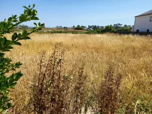Terrain a batir a vendre Roscoff 29680 Finistère 29 218240 euros 29105/111 001