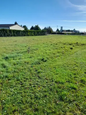 Terrain a batir a vendre Saint-Jean-de-Sauves 86330 Vienne 86 16000 euros 86056/8 001