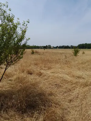 Terrain a batir a vendre Saint-Jean-de-Sauves 86330 Vienne 86 13000 euros 86056/12 001
