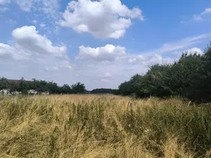 Terrain a batir a vendre Bérengeville-la-Campagne 27110 Eure 27 65000 euros 11206/1091293 001