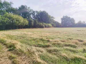 Terrain a batir a vendre Tercé 86800 Vienne 86 33600 euros 2568 001