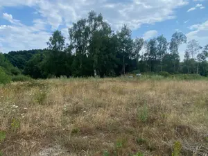 Terrains de loisirs bois etangs a vendre Pontmain 53220 Mayenne 53 105400 euros 135/166 001