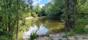 Divers a vendre Troyes 10000 Aube 10 53 m2 3 pièces 157500 euros 10361/6090 001