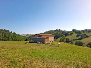 Maison a vendre Saint-Dier-d'Auvergne 63520 Puy-de-Dôme 63 130 m2 3 pièces 191000 euros 2026-94-2026284 001