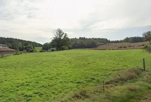 Terrain a batir a vendre Pouxeux 88550 Vosges 88 1200 m2 55000 euros 88014/93 001