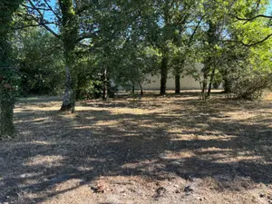 Terrain a batir a vendre Parempuyre 33290 Gironde 33 390 m2 167600 euros 032/1727 001