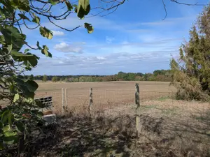 Terrain a batir a vendre Loupes 33370 Gironde 33 135000 euros 045/2233 001