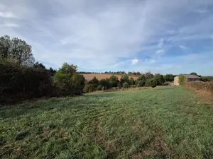 Terrains de loisirs bois etangs a vendre Villaines-la-Juhel 53700 Mayenne 53 24380 euros 1414 001