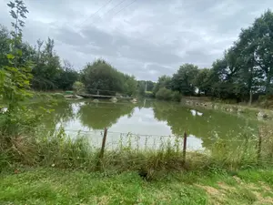 Terrains de loisirs bois etangs a vendre Louvigné-du-Désert 35420 Ille-et-Vilaine 35 36800 euros 135/178 001