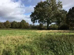 Terrain a batir a vendre Servon-sur-Vilaine 35530 Ille-et-Vilaine 35 1100 m2 157800 euros 134/4096 001