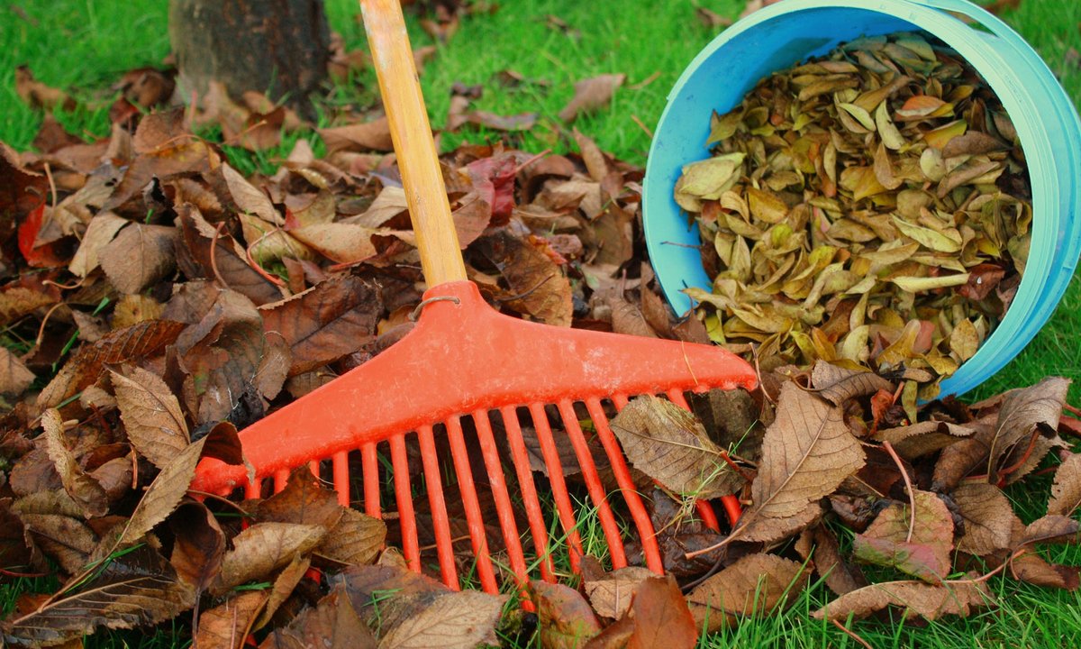Brûler des feuilles...