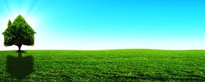 Les ventes de terrains à bâtir moins imposées