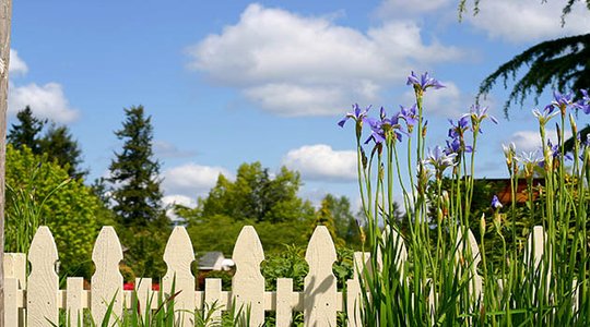 Plantations sur le terrain d'autrui : que dit la jurisprudence ?