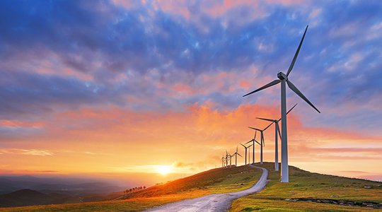 Vote de la loi sur la transition énergétique