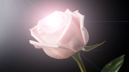 "Mignonne, allons voir si l'e-rose est éclose ?"