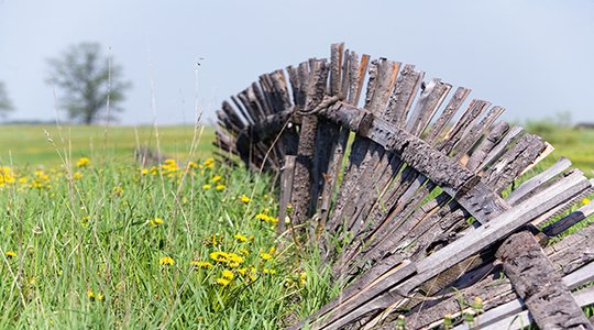 Clôture inesthétique et trouble de voisinage