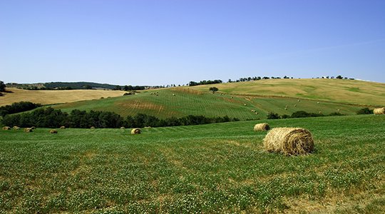 De nouvelles prérogatives pour la SAFER