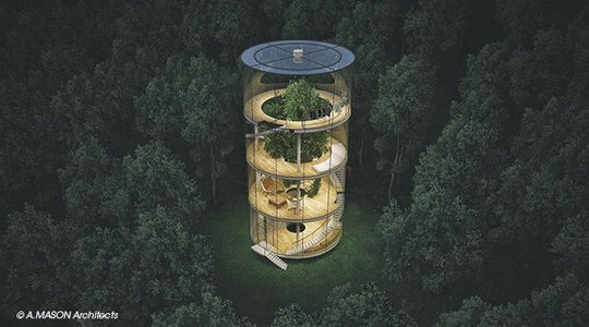 Écolo, une maison autour d'un arbre