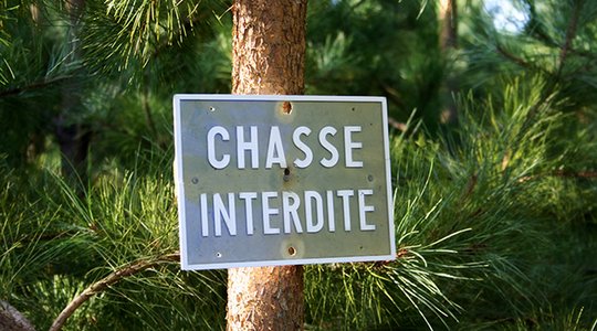 Peut-on chasser sur ma propriété ?